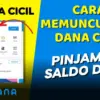 Cara Mengaktifkan DANA Cicil di Aplikasi DANA