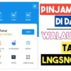 Pinjam Saldo DANA Rp250.000 Langsung Cair