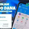 Pinjaman Rp50 Ribu di Aplikasi DANA Langsung Cair