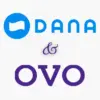 5 Pinjaman Online Cair ke DANA dan OVO, Langsung Masuk E-Wallet!