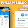 Pinjaman Rp300 Ribu di Aplikasi DANA Langsung Cair