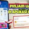 Cara Dapat Pinjaman 500 Ribu dari Aplikasi DANA