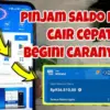 Pinjam Uang 100 Ribu Langsung dari Aplikasi DANA