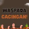 Ciri-ciri Cacingan pada Orang Dewasa