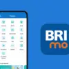 Cara Pinjam Uang di Aplikasi BRImo, Simak Syarat dan Langkahnya!