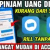Cara Mudah Pinjam Uang Rp300 Ribu di Aplikasi DANA Tanpa KTP