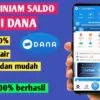 Pinjam Saldo DANA 300 Ribu Tanpa Instal Aplikasi Tambahan