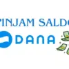 Cara Pinjam Saldo DANA Darurat dengan Fitur ini!
