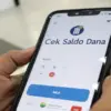 ilustrasi gambar tentang Cek Saldo Dana(Media Indonesia)