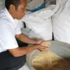 Kelompok Nurul Nila Gurame di Desa Dawuan
