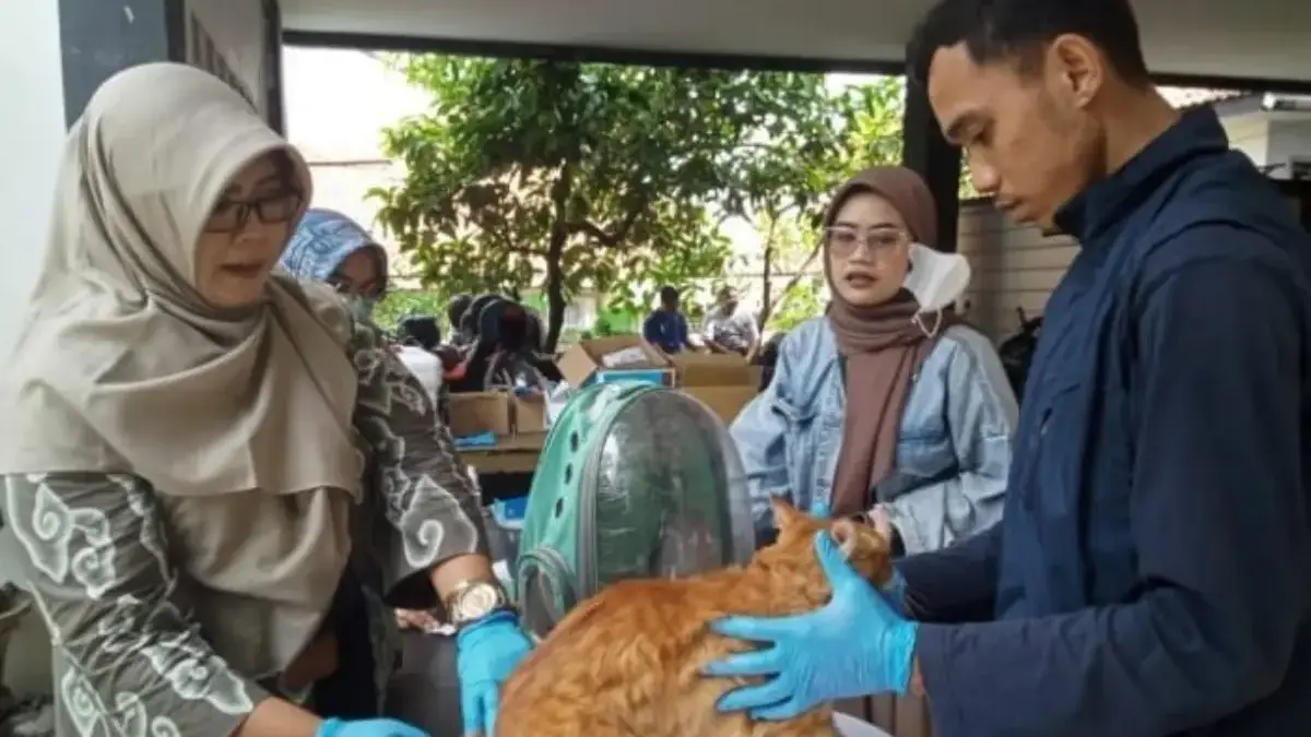 vaksin hewan purwakarta