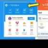 Cara Mencairkan Saldo DANA Paylater dengan Mudah