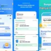 Pinjam Online Tanpa KTP 5 Menit Langsung Cair, Data Buruk Tetap Bisa ACC?