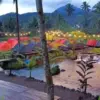 Rekomendasi Tempat Piknik di Subang Terbaru 2025, Alam Indah + Spot Instagramable