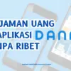 Pinjaman Uang di Aplikasi DANA Tanpa Ribet