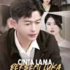 Link Nonton Cinta Lama Bersemi Luka | Drama China | Sub Indo