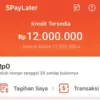 Kapan Limit Shopee Pinjam Bertambah Tahun 2025? Begini Trik Supaya Limit Kamu Naik!