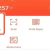 Cara TopUp ShopeePay DANA 2025! Cepat, Aman, dan Bebas Ribet
