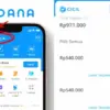 Limit DANA Cicil di Aplikasi DANA