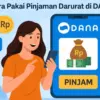 Pinjam Saldo DANA Darurat 300 Ribu di Aplikasi DANA