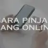 6 Cara Pinjam Uang Online yang Benar, Cepat Cair dan Aman