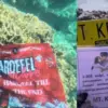 Daftar Proyek Fandom Harqeel, Aksi Nyata Penggemar Asmara Gen Z