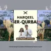 4 Proyek Menarik Fandom Harqeel Official