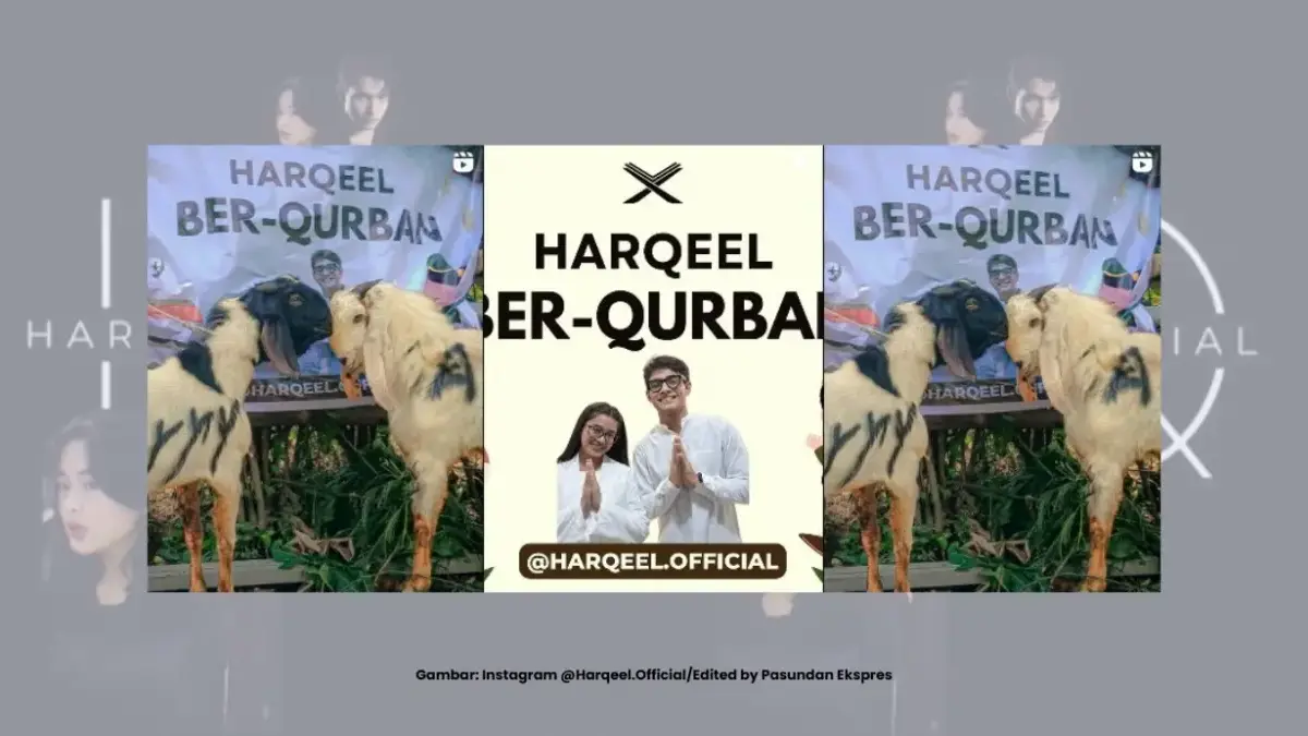 4 Proyek Menarik Fandom Harqeel Official