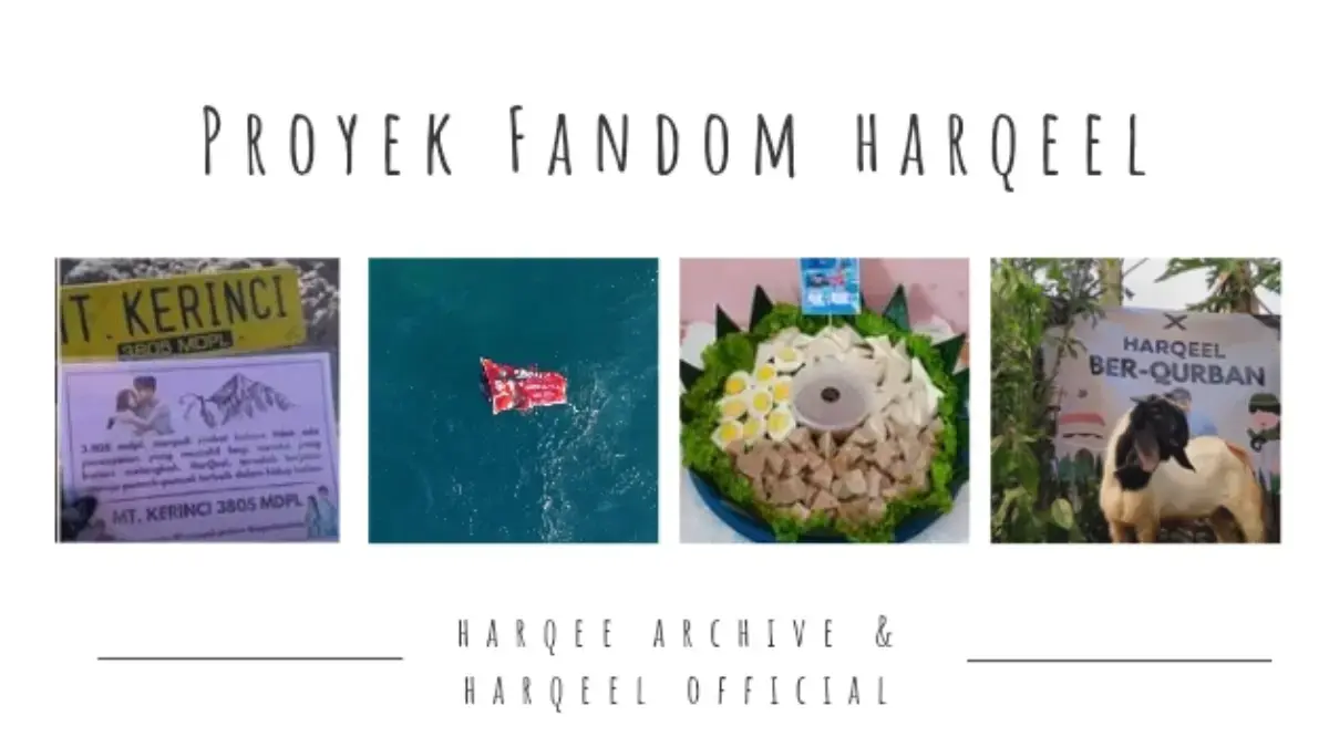 Bukan Sekedar Nonton, 7 Proyek Fandom Shipper Harry dan Aqeela sebagai Bukti Cinta!