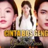 Link Nonton Full Cinta Bos Geng untuk Gadis Desa Drama China