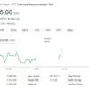 Harga Saham CDIA