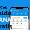 Cek Saldo DANA Gratis, Sekali Klik Langsung Masuk!