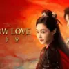 Drama China Shadow Love 
