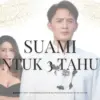 Nonton Suami untuk 3 Tahun Drama China