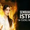Review Drama China Sembuhkan Istriku yang Manusia