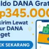 Klaim Saldo DANA Gratis