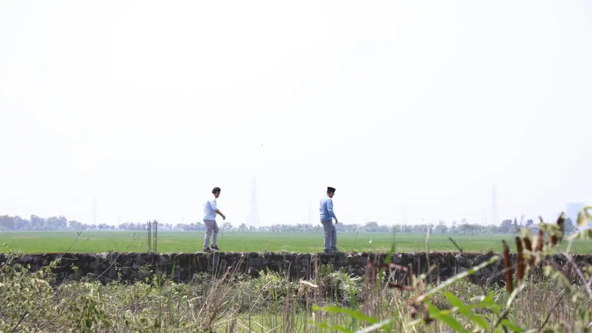 Tinjau Kawasan Industri di Indramayu