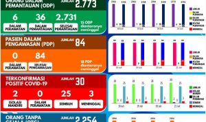 Kasus Positif Covid-19 di Garut Bertambah 2 dari Leuwigoong dan Tarogong Kidul