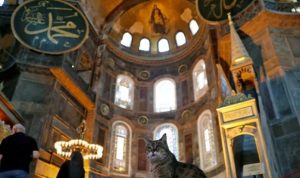 Pemerintah Turki Akan Menutup Gambar Yesus dan Bunda Maria dalam Arsitek Hagia Sophia