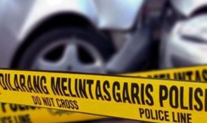 Mobil Colt Bak Tabrak Pohon Ketapang, 2 Orang Meninggal Dunia