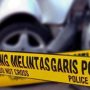 Mobil Colt Bak Tabrak Pohon Ketapang, 2 Orang Meninggal Dunia