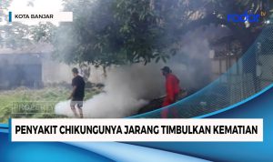 Cikungunya Jarang Timbulkan Kematian