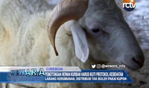 Pemotongan Hewan Kurban Harus Ikuti Protokol Kesehatan