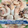 Harga Jual Udang di Cirebon Cukup Tinggi