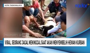 Viral, Seorang Jagal Meninggal Saat Akan Menyembelih Hewan Kurban