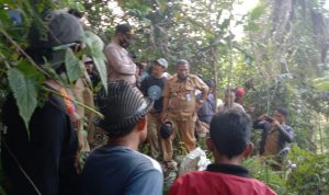 Warga Garut Pencari Madu Ditemukan Meninggal, Diduga Karena Dikejar Lebah