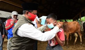 Hindari Korona, Lansia dan Anak-anak Tak Perlu Salat Hari Raya