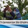 Petik dan Makan Jeruk Sepuasnya, Coba Datang ke Tempat ini