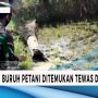 Warga Banjar Ditemukan Meninggal di Sawah