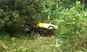 Menghindari Kendaraan di Depan, Mobil Elf Banting Setir Lalu Masuk Jurang